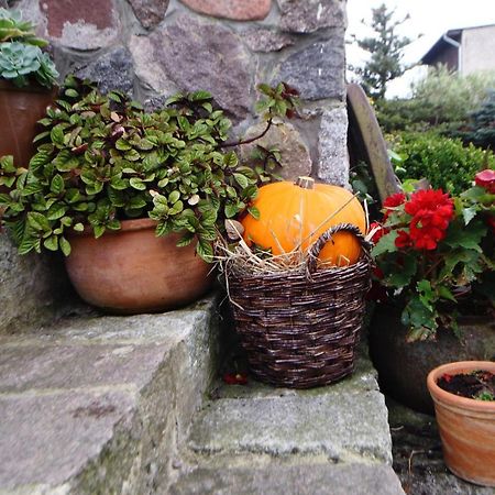 Pokoje Goscinne "Tak Lubisz" Gardna Wielka Extérieur photo