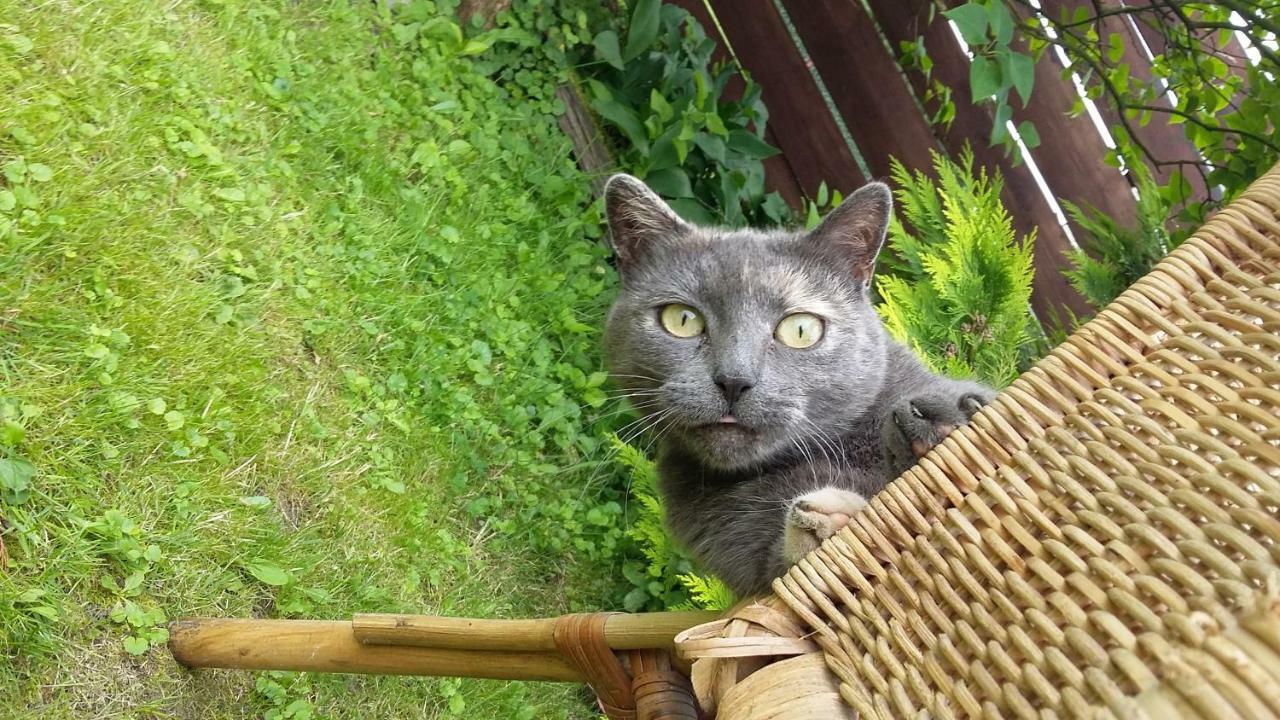 Pokoje Goscinne "Tak Lubisz" Gardna Wielka Extérieur photo