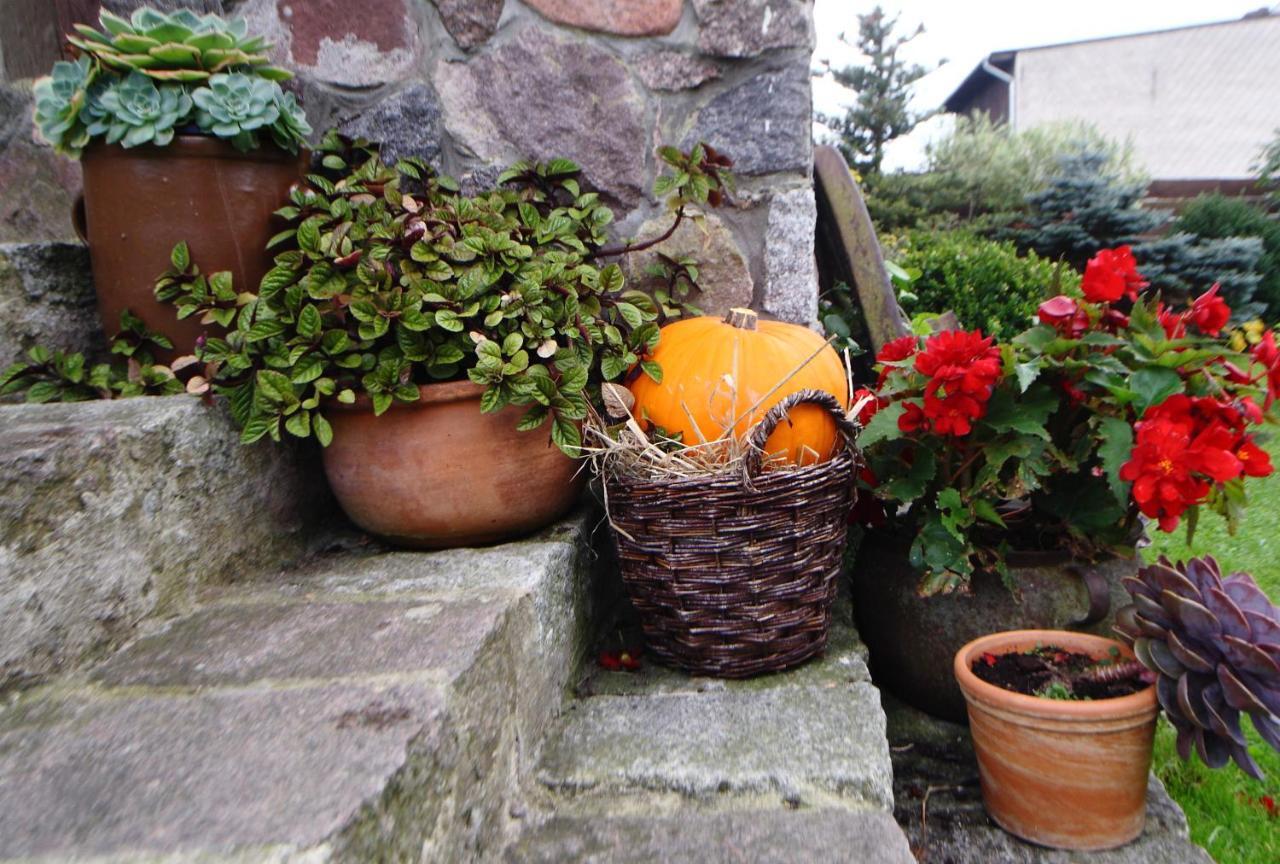 Pokoje Goscinne "Tak Lubisz" Gardna Wielka Extérieur photo